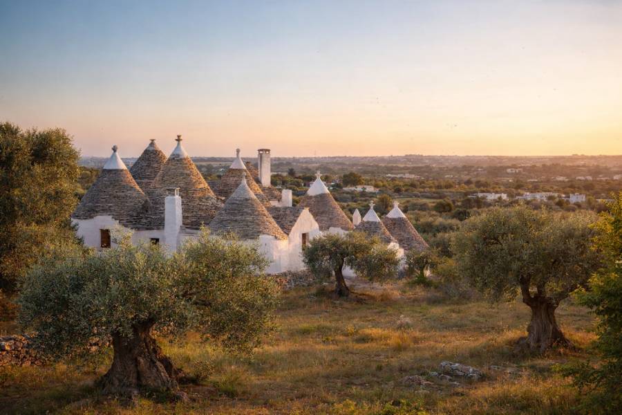 Panoramablick auf das Itria-Tal mit Trulli und alten Olivenbäumen